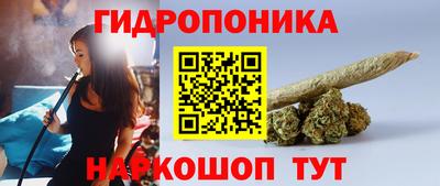 гидра Аргун